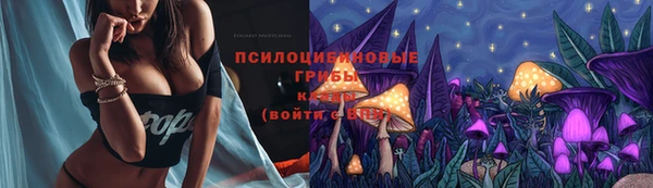 индика Армянск