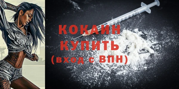 индика Армянск