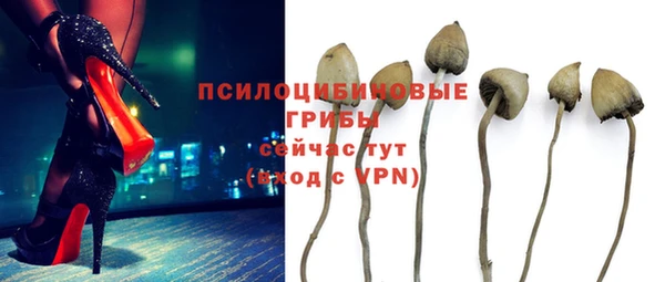индика Армянск