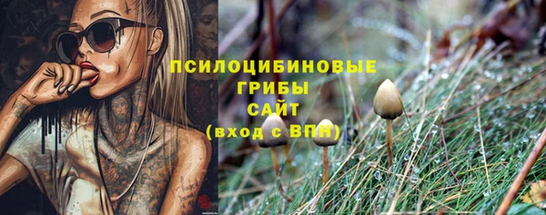 гашик Арсеньев