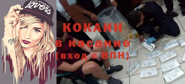 индика Армянск