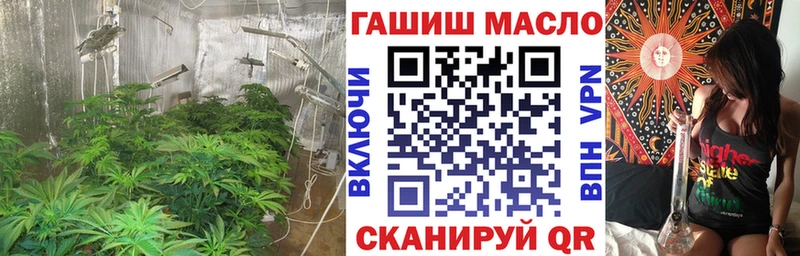 ТГК Wax  Печоры 